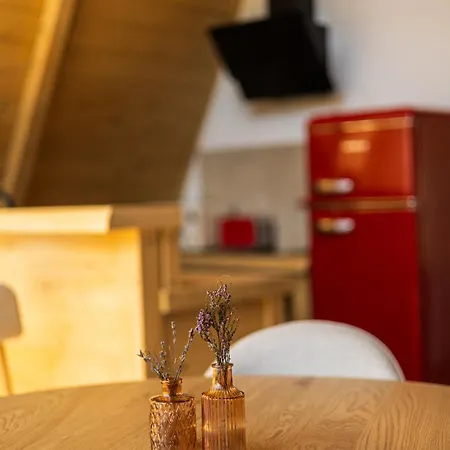 Slupiyka Town Apartment *
